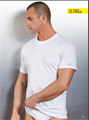 NAVIGARE 513XL T-SHIRT UOMO GIROCOLLO COT.