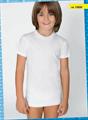 NAVIGARE 13020 T-SHIRT BIMBO GIROCOLLO COT.