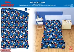 INVOICE MICKEY TRAPUNTA 170X260